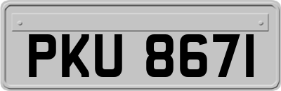 PKU8671