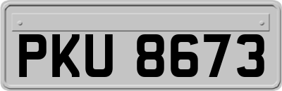 PKU8673