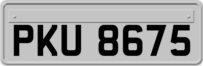 PKU8675