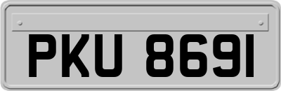 PKU8691