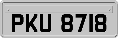 PKU8718