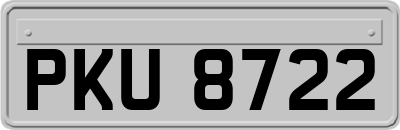 PKU8722