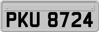 PKU8724