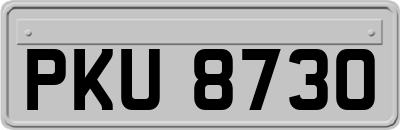 PKU8730