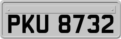 PKU8732