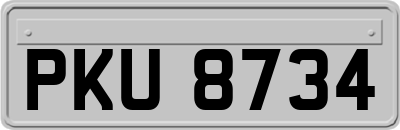 PKU8734