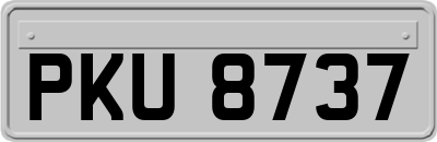PKU8737