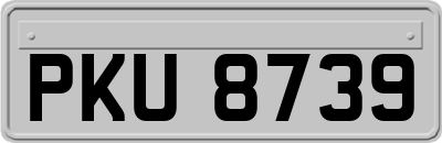PKU8739