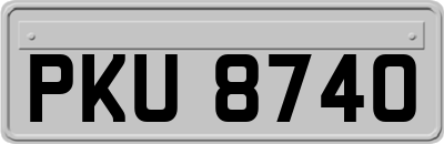 PKU8740