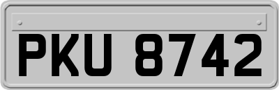 PKU8742
