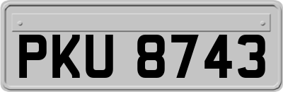 PKU8743