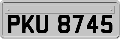 PKU8745