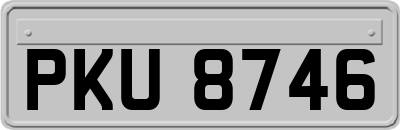 PKU8746