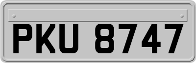 PKU8747