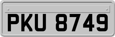 PKU8749