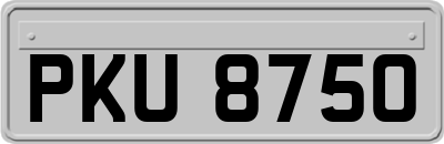 PKU8750