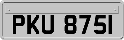 PKU8751