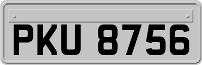 PKU8756