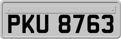 PKU8763