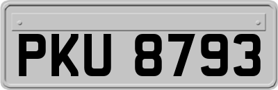 PKU8793