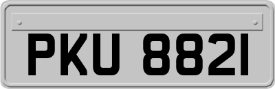 PKU8821