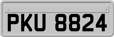 PKU8824