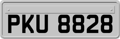 PKU8828