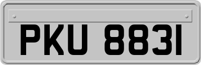 PKU8831