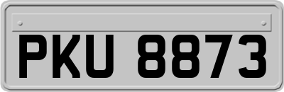 PKU8873