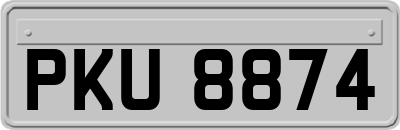 PKU8874