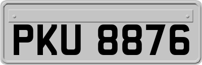 PKU8876
