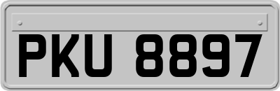 PKU8897