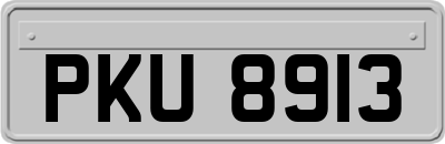 PKU8913
