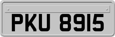 PKU8915