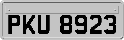 PKU8923