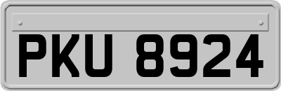 PKU8924