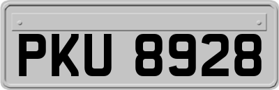PKU8928