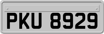 PKU8929