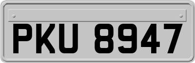 PKU8947