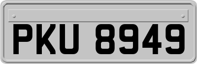 PKU8949