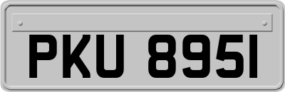 PKU8951