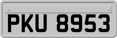 PKU8953