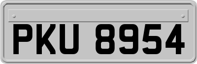 PKU8954