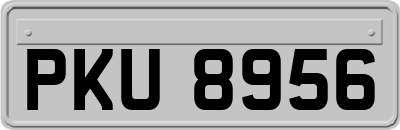 PKU8956
