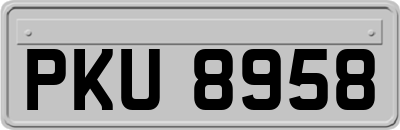 PKU8958