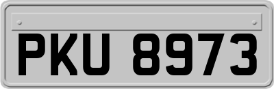 PKU8973