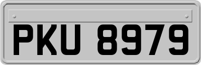 PKU8979