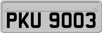 PKU9003