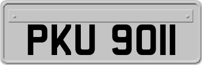 PKU9011