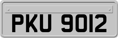 PKU9012